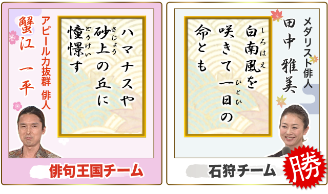 ⑥画像のみ