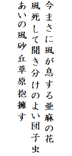 

今まさに風が息する亜麻の花
風死して聞き分けのよい団子虫
あいの風砂丘草原抱擁す
