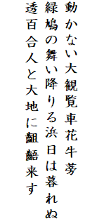 

動かない大観覧車花牛蒡
緑鳩の舞い降りる浜日は暮れぬ
透百合人と大地に齟齬来す
