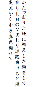 

かたつむり土地に根差した顔をして
在りし日のひまわり迷路抜けると海
炎天や空中写真色褪せて
