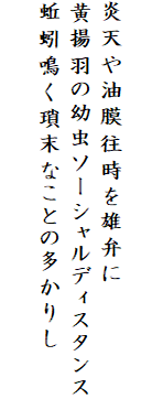 

炎天や油膜往時を雄弁に
黄揚羽の幼虫ソーシャルディスタンス
蚯蚓鳴く瑣末なことの多かりし
