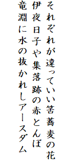 

それぞれが違っていい筈蕎麦の花
伊夜日子や集落跡の赤とんぼ
竜淵に水の抜かれしアースダム
